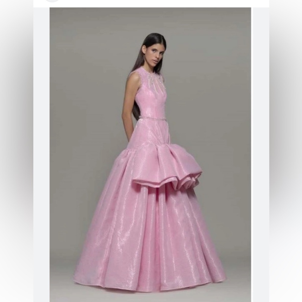 Isabel SANCHIS Alfiano
Embellished Gown paid $3831 plus $250 with alterations